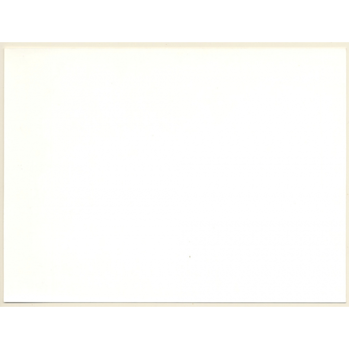 Artistic Erotic Nude Study: Slim Blonde On Satin Bed Covered With Rose Leaves (Vintage Photo France 1980s)