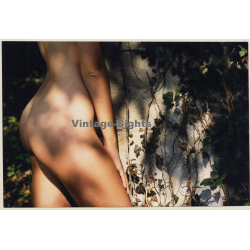 Artistic Erotic Nude Study: Female Leaning Against Tree / Butt (Vintage Photo France 21 x 30 CM 1980s)