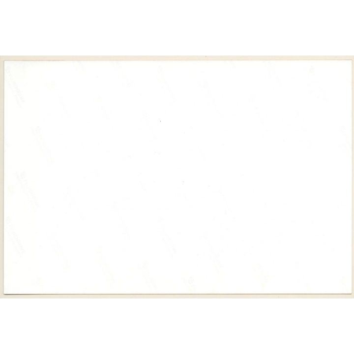 Artistic Erotic Nude Study: Blonde Female On Meadow / Boobs (Vintage Photo France 21 x 30 CM 1980s)