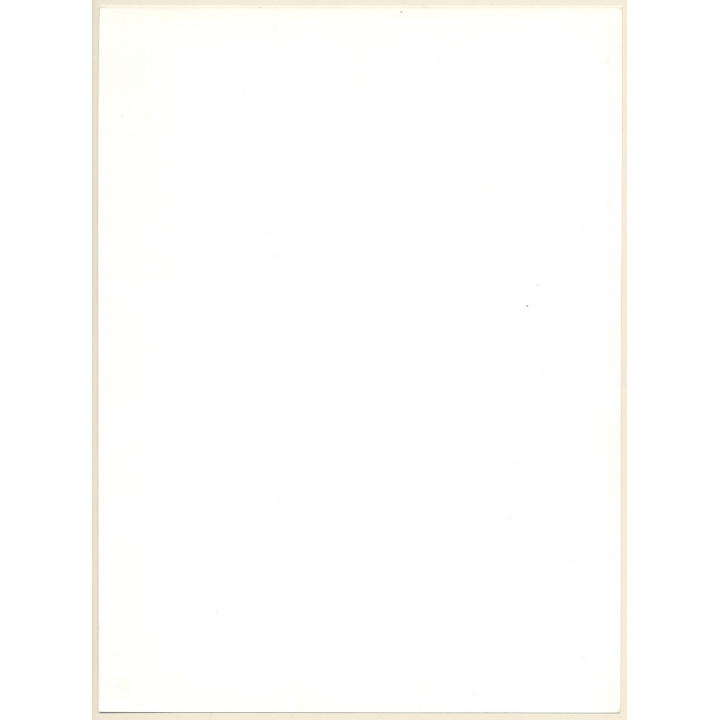 Artistic Erotic Study: Nude Female's Butt Between Trees / Forest (Vintage Photo France 31 x 23 CM 1980s)