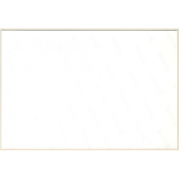 Artistic Erotic Study: Nude Female's Back / Butt (Vintage Photo France 20 x 30 CM 1980s)