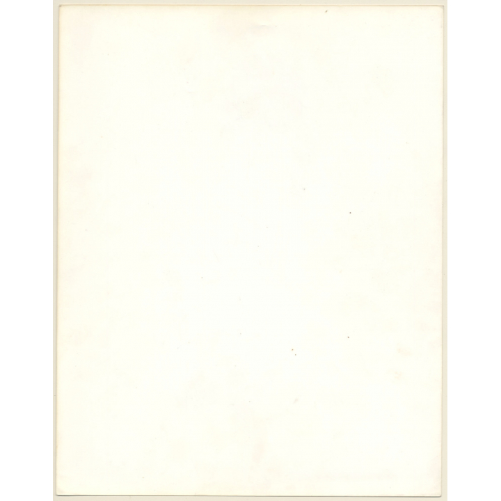 Artistic Erotic Study: Beautiful Topless Blonde Female*2 (Vintage Photo France 31 x 24 CM 1980s)