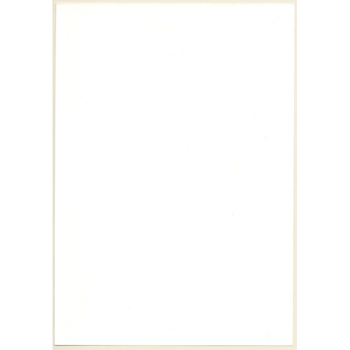 Artistic Erotic Study: Leggy Semi Nude In Front Of Impressive Tree (Vintage Photo France 31 x 21 CM 1980s)