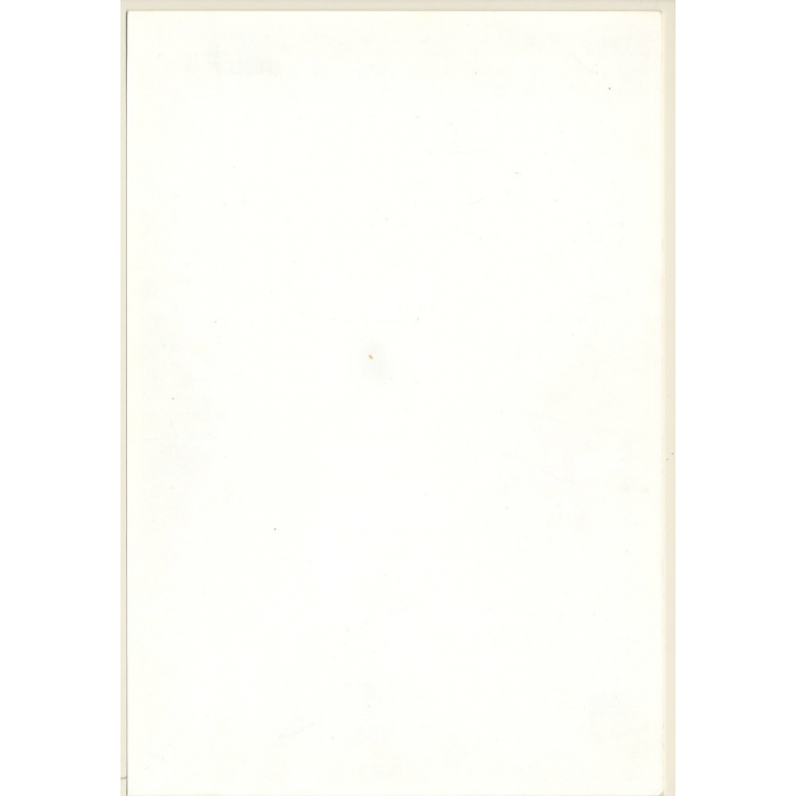 Artistic Erotic Study: Leggy Semi Nude Female Leaning Against Tree / Panties (Vintage Photo France 31 x 21 CM 1980s)