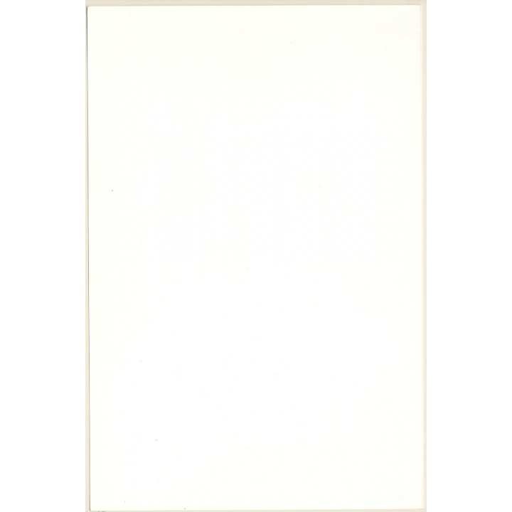 Artistic Erotic Study: Darkhaired Nude Looking Into Mirror (Vintage XL Photo France 30 x 20 CM 1980s)