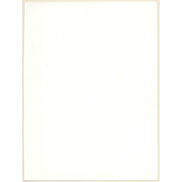 Artistic Erotic Study: Pretty Asian Female Flashing Pantyhose Outdoors (Vintage XL Photo France 30 x 24 CM 1980s)