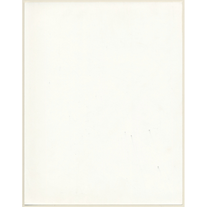 Artistic Erotic Study: Upper Body Of Longhaired Nude (Vintage XL Photo France ~30 x 24 CM 1980s)