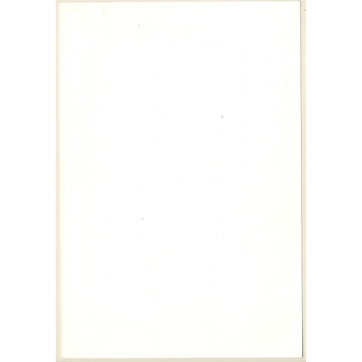 Artistic Erotic Study: Rear View Nude Female In Front Of Impressive Tree (Vintage XL Photo France 30 x 21 CM 1980s)