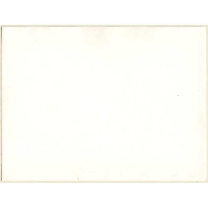 Artistic Erotic Study: Great Take Of Nude With Veil Outdoors (Vintage XL Photo France 23 x 30 CM 1980s)