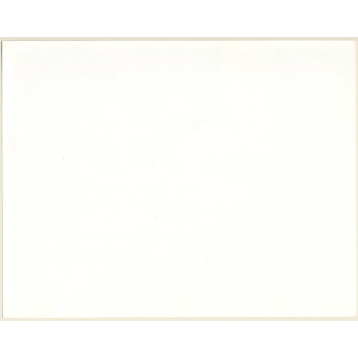 Artistic Erotic Study: Natural Topless Curlyhead Embraces Huge Tree Trunk (Vintage XL Photo France 24 x 30 CM 1980s)