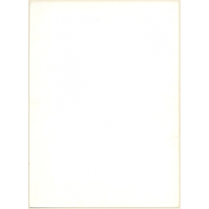 Artistic Erotic Study: Topless Blonde In Ripped Jeans (Vintage XL Photo France 30 x 22 CM 1980s)