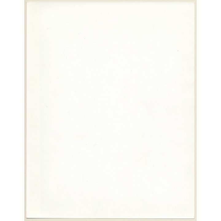 Artistic Erotic Study: Pensive Blonde Nude With Feather Boa (Vintage XL Photo France 30 x 24 CM 1980s)