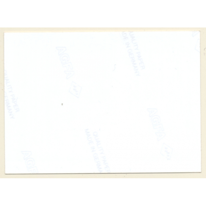 Erotic Study: Natural Nude Brunette Holds Boobs (Vintage Photo ~1980s)