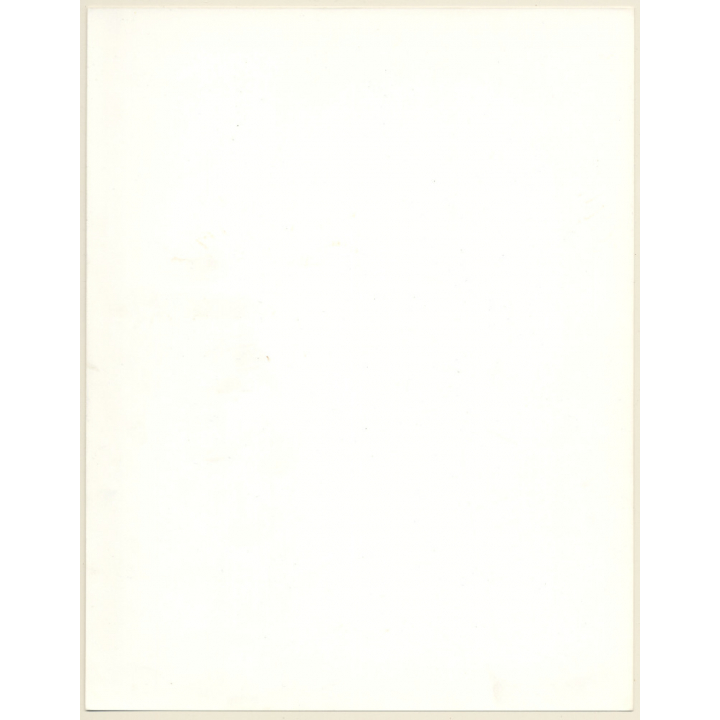 Artistic Erotic Study: Pensive Blonde Nude With Feather Boa*2 (Vintage XL Photo France 30 x 24 CM 1980s)