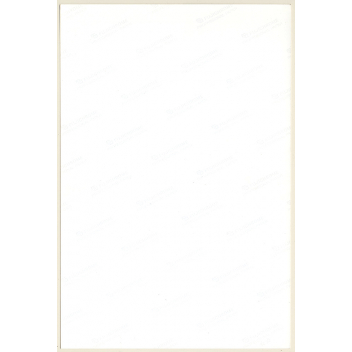 Artistic Erotic Study: Rear View Of Slim Nude With Pony Tail (Vintage XL Photo France 30 x 20 CM 1980s)