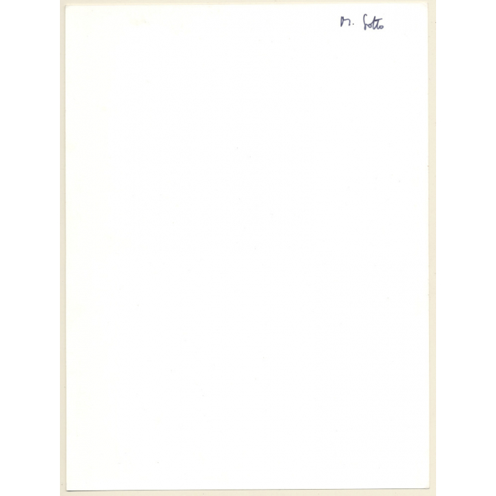 Artistic Erotic Study: Longhaired Brunette Nude Standing Sideways (Vintage XL Photo France 30 x 24 CM 1980s)