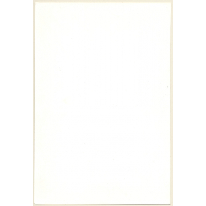 Artistic Erotic Study: Cheeky Rear View Of Semi Nude In Short Dress Outdoors (Vintage XL Photo France 30 x 21 CM 1980s)