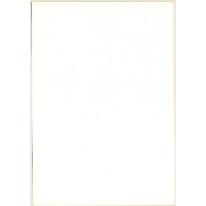 Artistic Erotic Study: Slim Darkhaired Nude Standing*2 / Rear View (Vintage XL Photo France 30 x 22 CM 1980s)