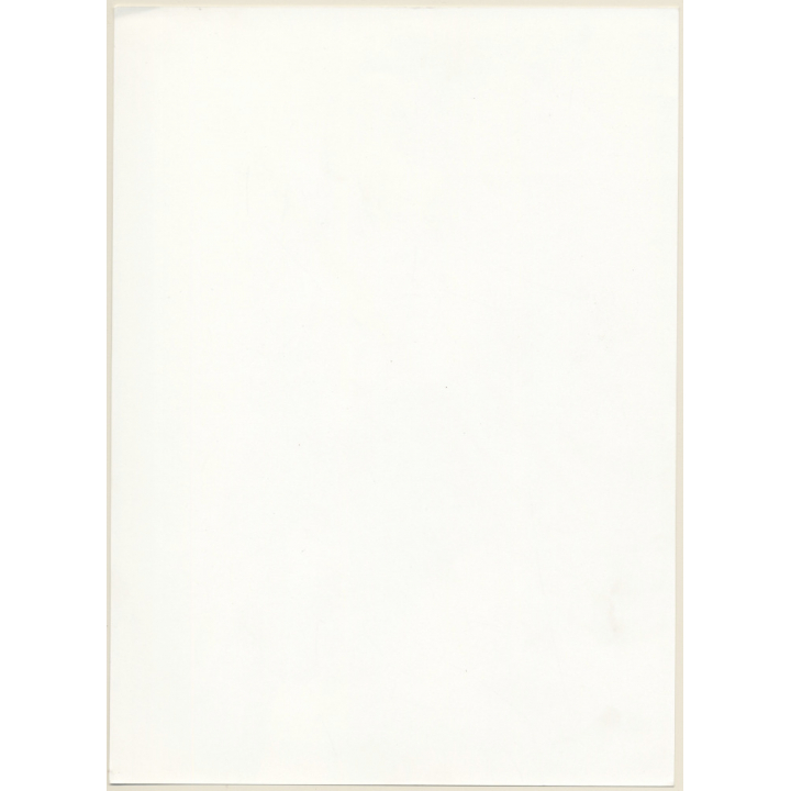 Artistic Erotic Study: Serious Looking Punky Nude / Jacket (Vintage XL Photo France 30 x 22 CM 1980s)