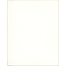 Artistic Erotic Study: Upper Body Of Nude Brunette Leaning Back (Vintage XL Photo France 30 x 24 CM 1980s)