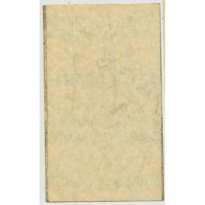 Tina Turner Private Dancer Tour - Munich Backstage Pass (Vintage Memorabilia)