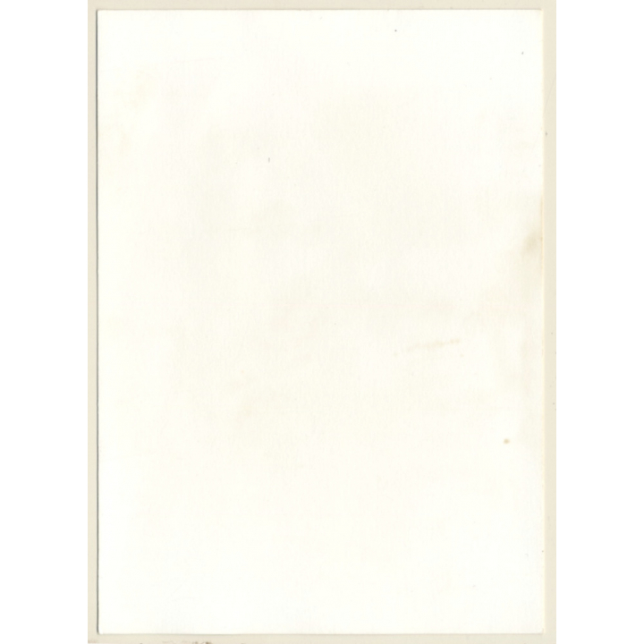 Erotic Study: Natural Naked Female In Transparent Negligee (Vintage Photo GDR ~1980s)