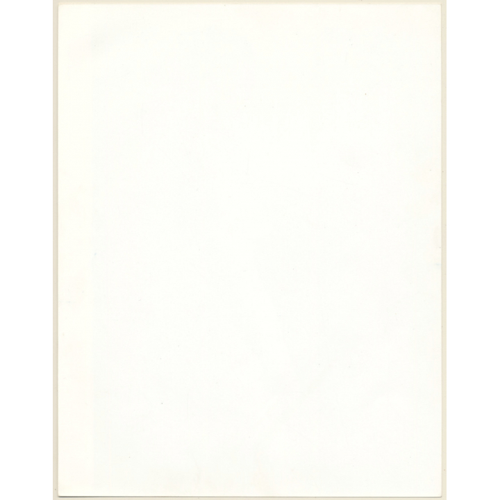 Artistic Erotic Study: Rear View Of Topless Female In Black Panties (Vintage XL Photo France 30 x 24 CM 1980s)