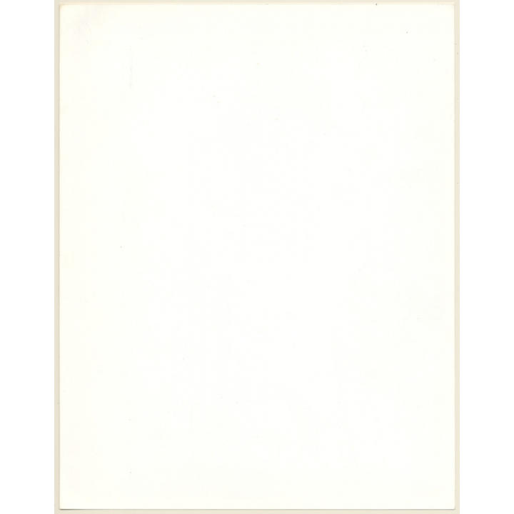 Artistic Erotic Study: Topless Female In Black Panties / Hands Behind Back (Vintage XL Photo France 30 x 24 CM 1980s)