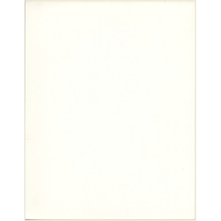 Artistic Erotic Study: Topless Longhaired Blonde In Black Panties (Vintage XL Photo France 30 x 24 CM 1980s)