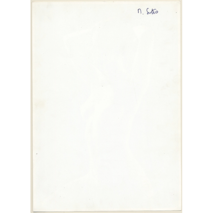 Artistic Erotic Study: Slim Longhaired Nude Holds Her Hair Up (Vintage XL Photo France 30 x 21 CM 1980s)