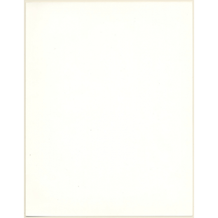 Artistic Erotic Study: Topless Longhaired Blonde Holds Up Her Hair (Vintage XL Photo France 30 x 24 CM 1980s)