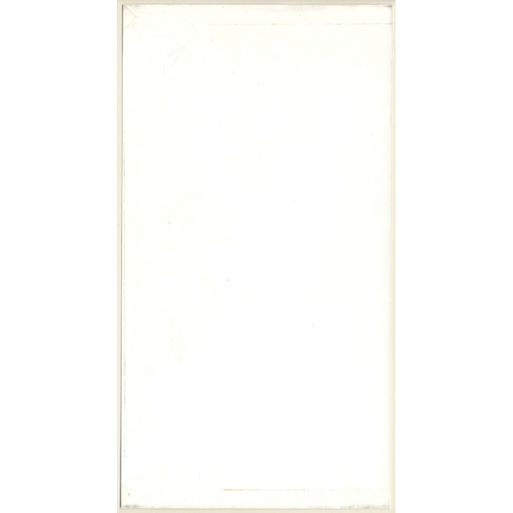 Artistic Erotic Study: Semi Nude Female In Fishnet Pantyhose*1 (Vintage XL Photo France 30 x 16 CM 1980s)