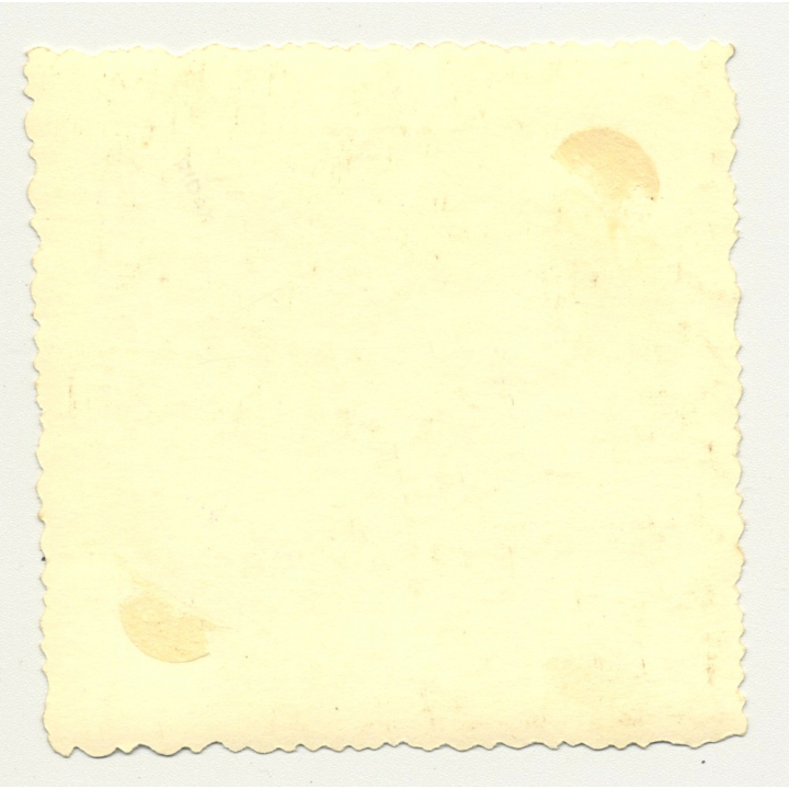 Small Child On Bonnet Of Ford F 1 / F-1 (Vintage Photo Africa B/W ~1950s)