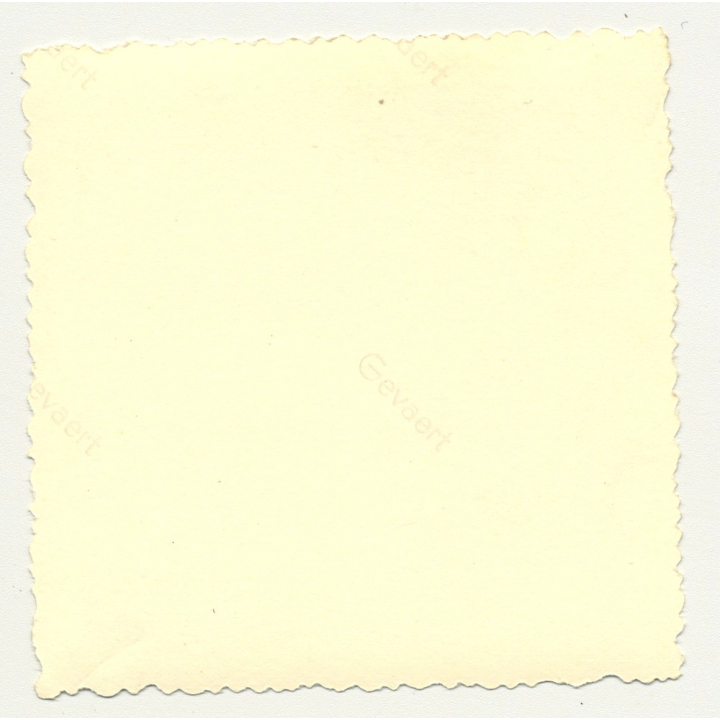 Small Child On Bonnet Of Ford F 1 / F-1 (Vintage Photo Africa B/W ~1950s)