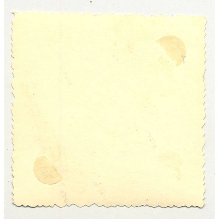 Proud Family In Front Of Fiat 1100 (Vintage Photo Africa? B/W ~1940s)