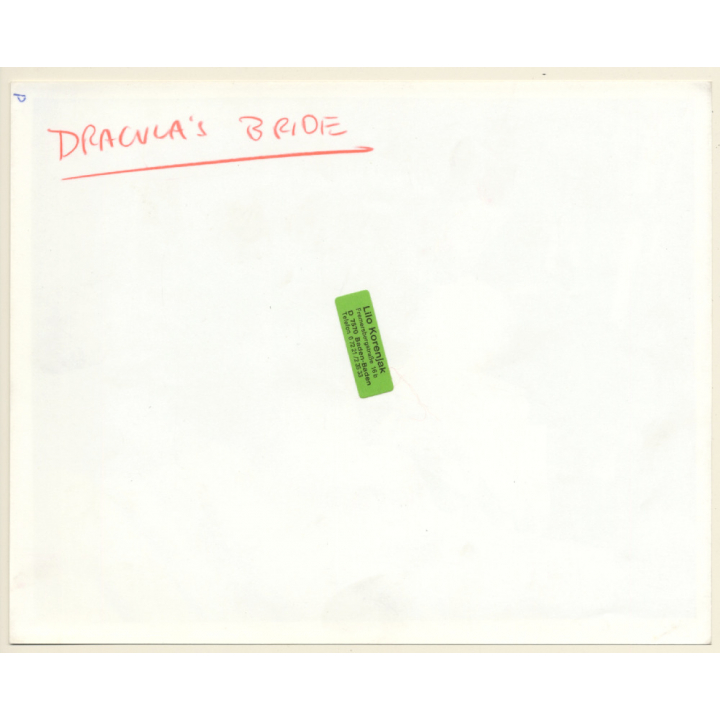 Jamie Gillis: Dracula's Brides / Movie Still - Risqué (Vintage Photo 1980)