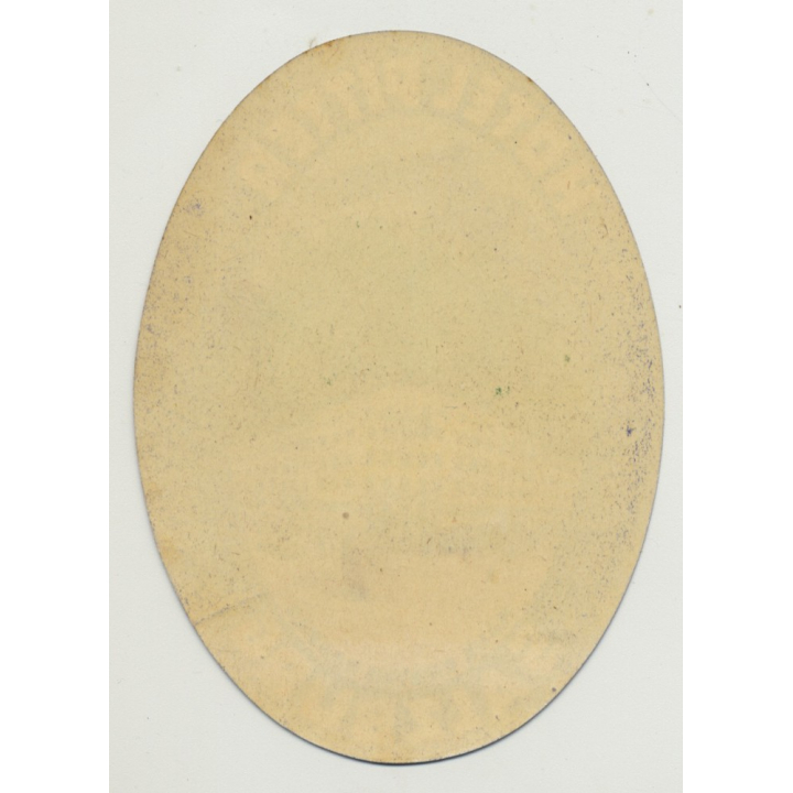 Hotel Pitter - Salzburg / Austria (Vintage Luggage Label)