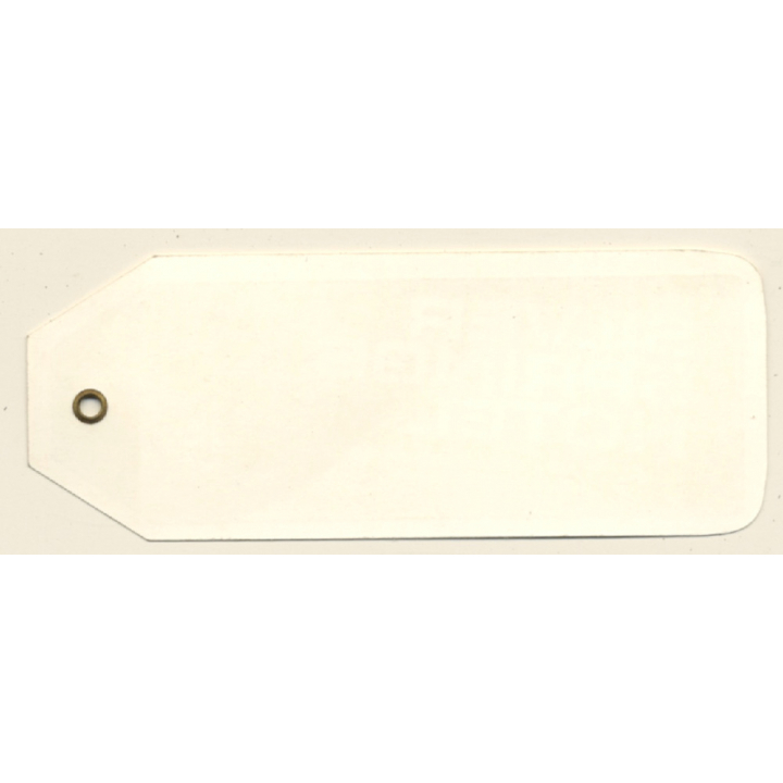 Tivoli Cork / Ireland: Silver Springs Hotel (Vintage Hotel Luggage Tag)