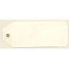 Tivoli Cork / Ireland: Silver Springs Hotel (Vintage Hotel Luggage Tag)