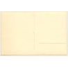 Rotes Kreuz: Planmäßiger Hilfslazarettzug No.9 / Zug - Bierkrug  (Vintage RPPC 1910s)