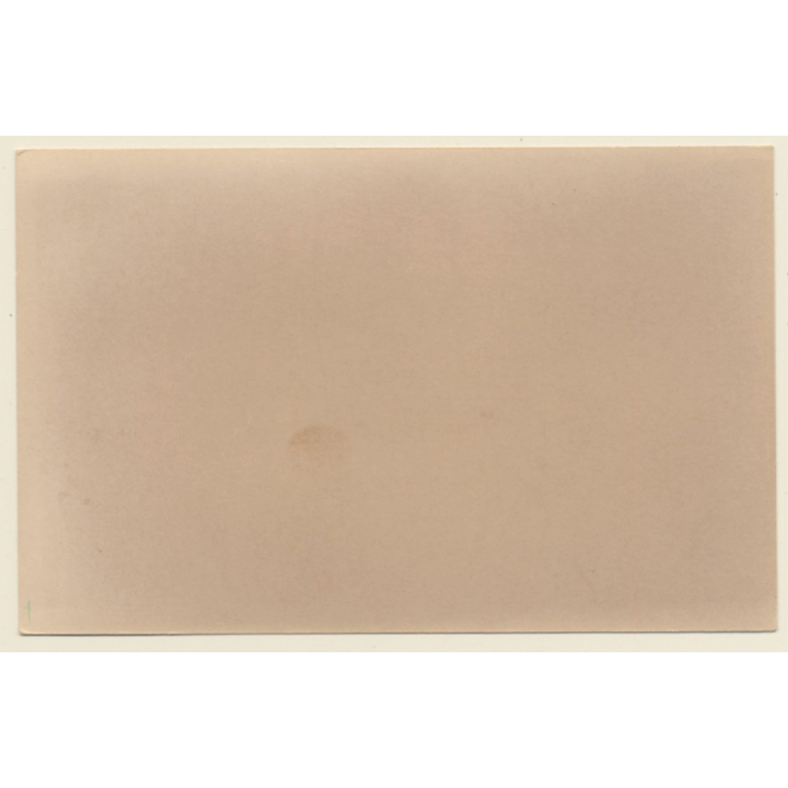 Erotic Study: Natural Darkhaired Nude On Bed / Beehive (Vintage Photo ~1940s/1950s)