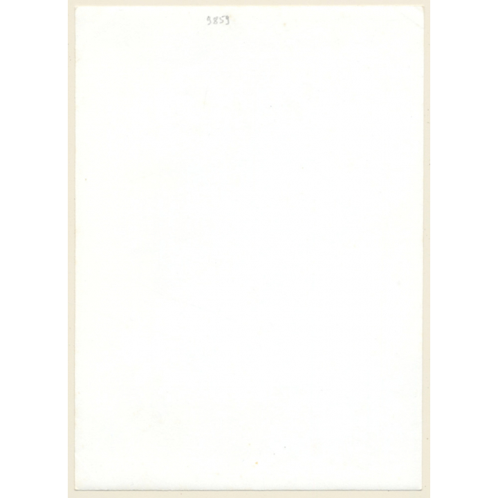 Erotic Study: Slim Natural Semi Nude In Black Lingerie *1 (Vintage Photo 18 x 13 CM GDR ~1970s)