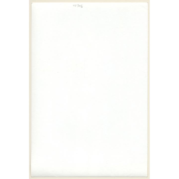 Erotic Study: Elegant Tall Nude With Bob On Bed*2 (Vintage Photo 18 x 12 CM GDR ~1970s)