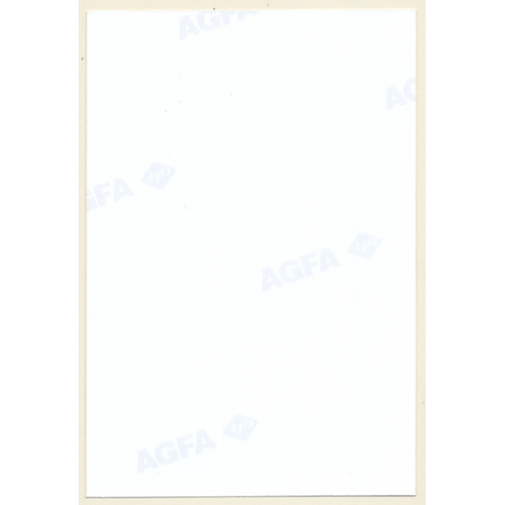 Erotic Study: Racy Longhaired Nude Covers Her Breasts (Vintage Photo ~1990s)