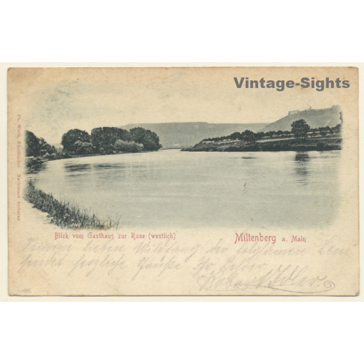 Miltenberg am Main: Blick Vom Gasthaus Zur Rose (Vintage PC 1901)