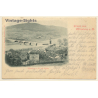 Miltenberg am Main: Blick auf Stadt und Brücke (Vintage PC 1901)