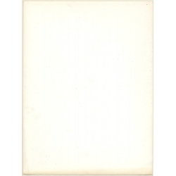 Erotic Study by Pjotr Van Moock: Blonde Nude Behind Glass (Vintage XL Photo 40 x 30 CM 1980s)