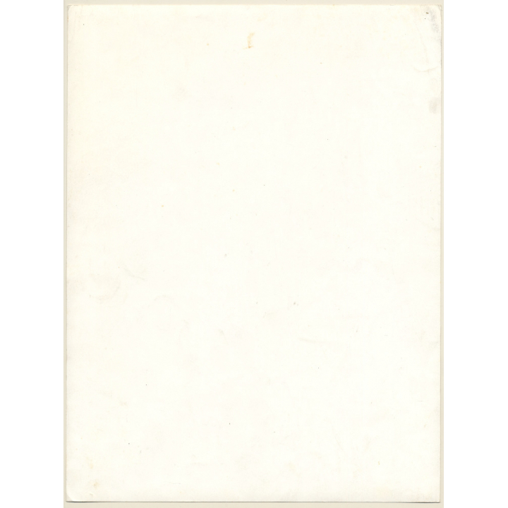 Erotic Study by Pjotr Van Moock: Upper Body Of Pretty Blonde Nude With Headscarf (Vintage XL Photo 40 x 30 CM 1980s)