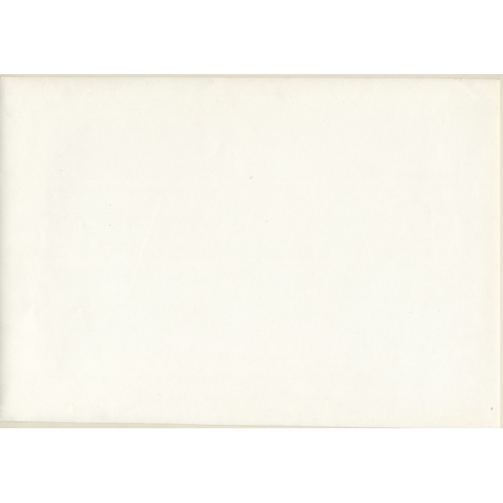 Erotic Study by Pjotr Van Moock: Slim Nude On Neon Lamp (Vintage XL Photo 30 x 43 CM 1980s)