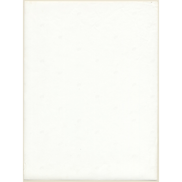 Erotic Study by Pjotr Van Moock: Slim Nude On Neon Lamp Holds Triangle (Vintage XL Photo 40 x 30 CM 1980s)